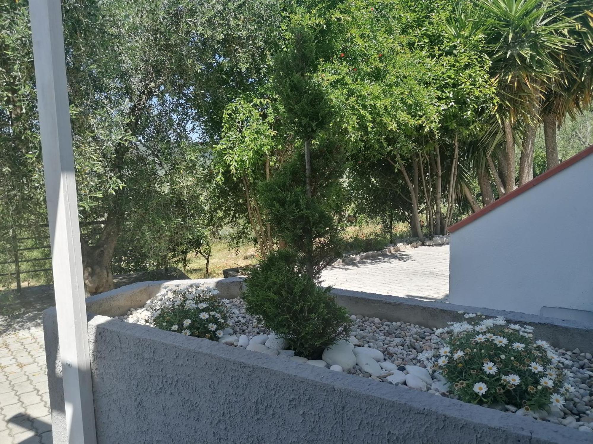 Agriturismo Valle Dei Gelsi Peschici Rom bilde
